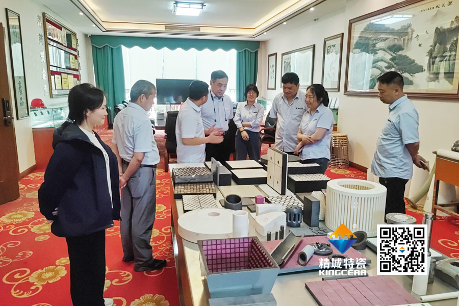 清华大学潘伟教授到访j9国际集团特瓷